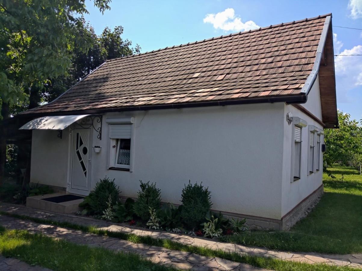 Rakoshyno Hotel Окремий Будинок-Апартаменти מראה חיצוני תמונה